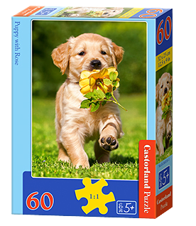 Puzzle für Castorland