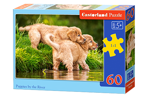 Puzzle für Castorland