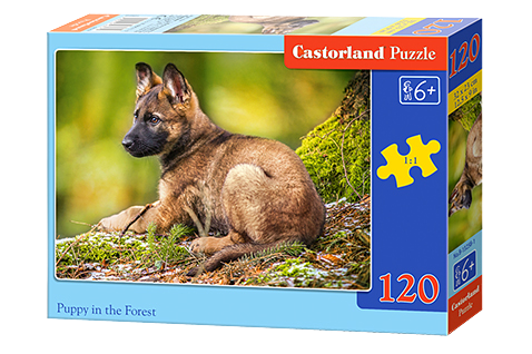 Puzzle für Castorland