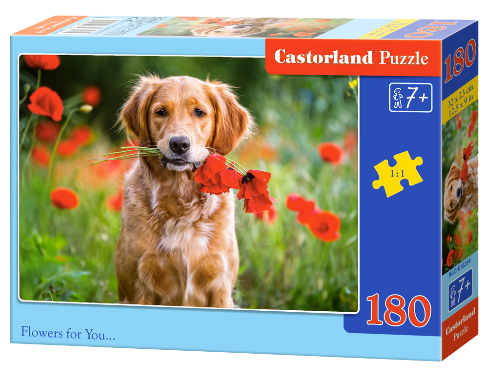 Puzzle für castorland