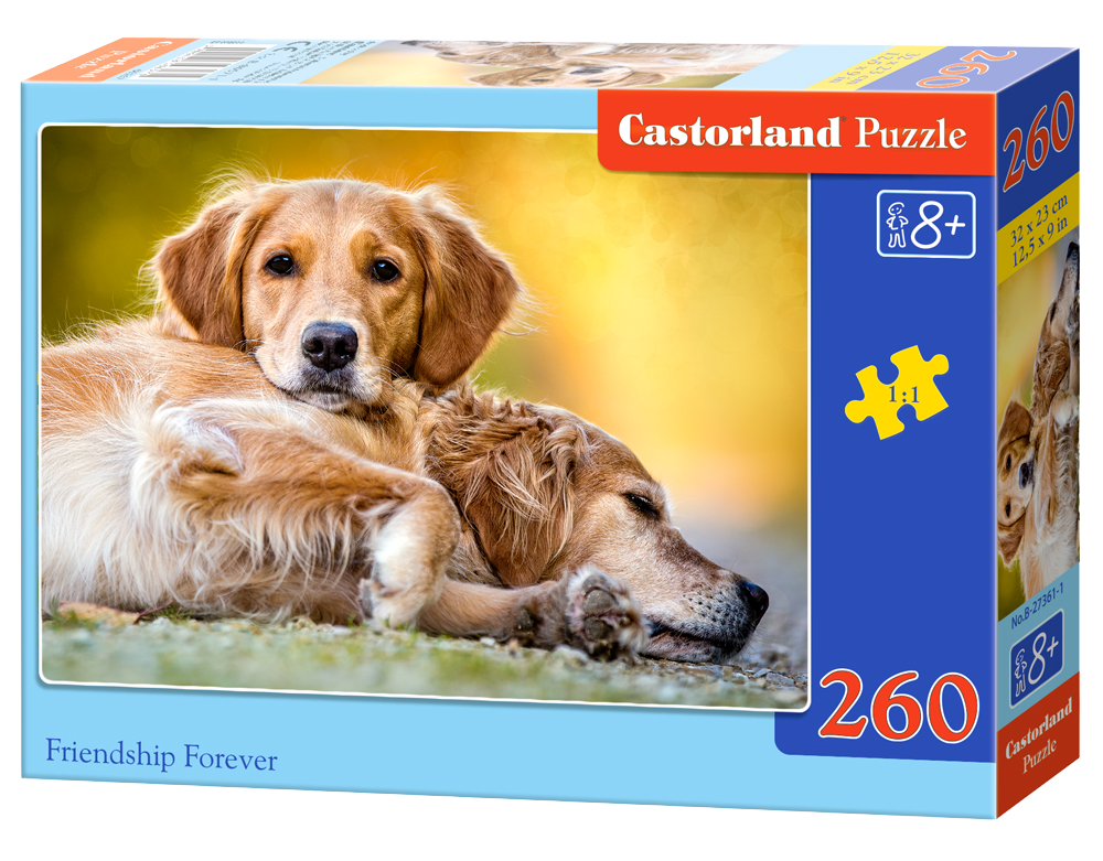 Puzzle für Castorland