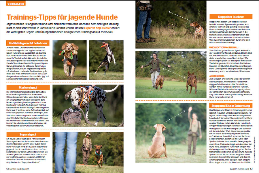 Partner Hund, Mai 2017, 2 Doppelseiten