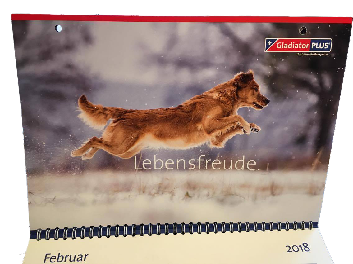 Kalender 2018 bei Gladiator Plus (alle Fotos von mir)