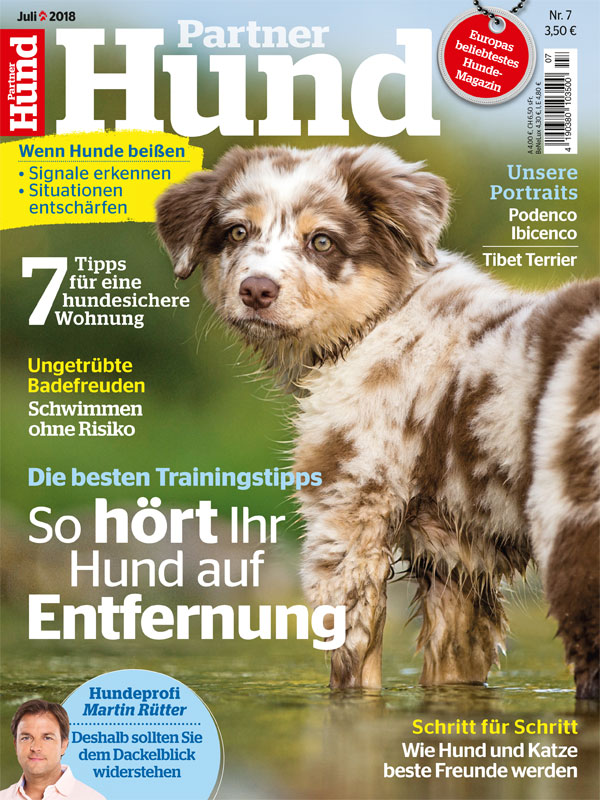Partner Hund, Juli 2018, Titelbild