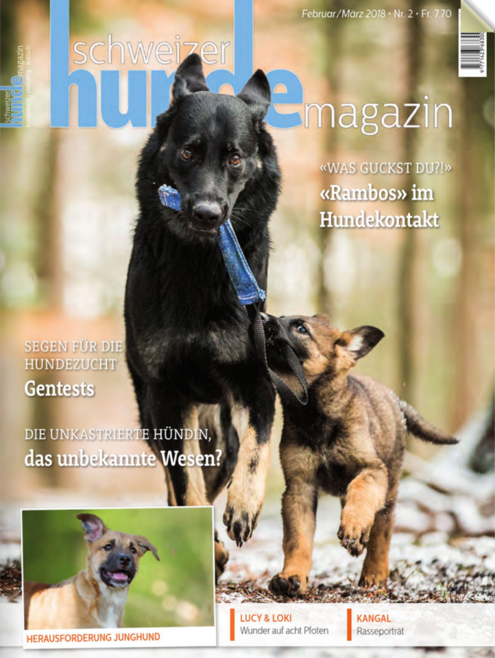 Schweizer Hundemagazin, Titel, Feb/März 2018