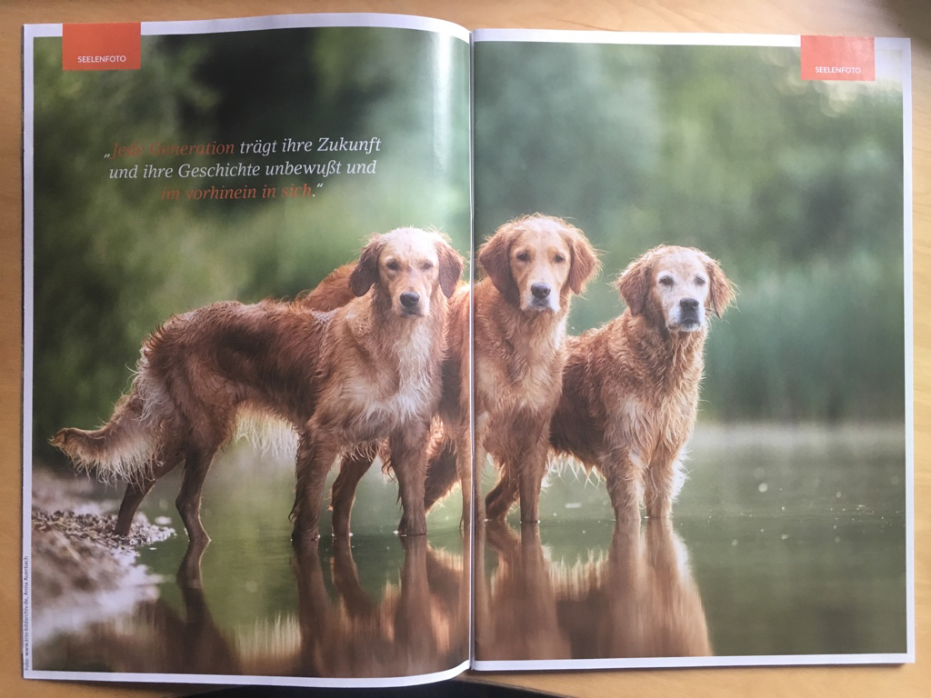 your dog 04/2018