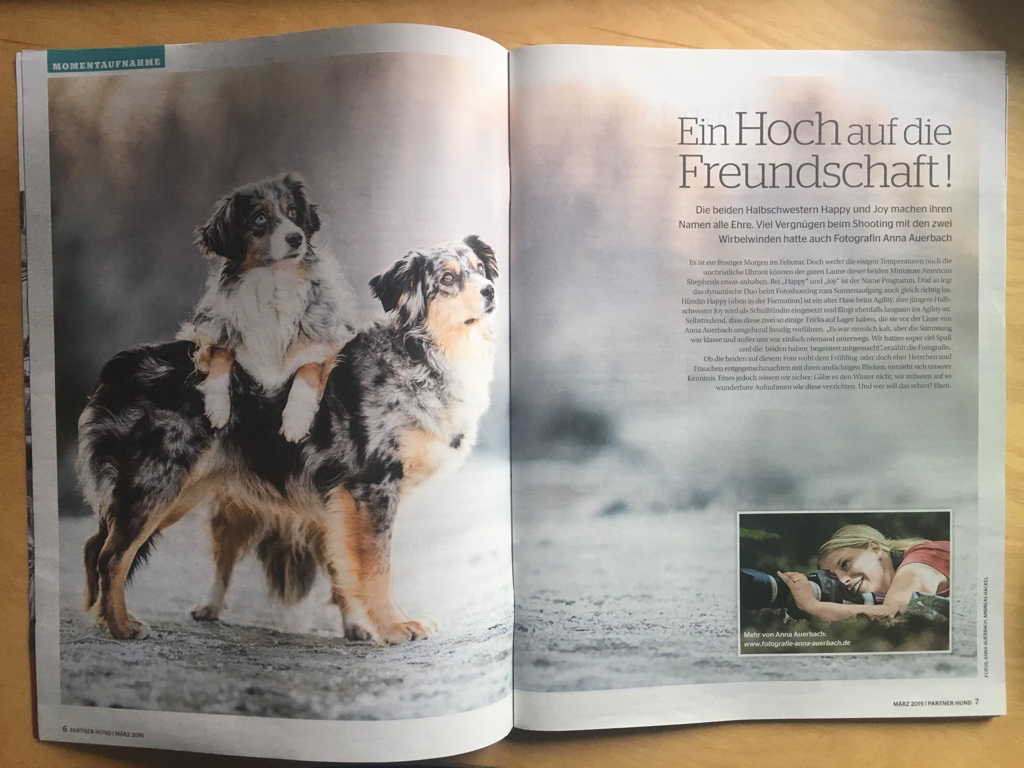 Partner Hund  03/2019